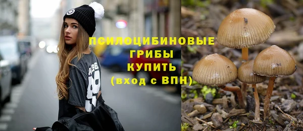 тгк Абдулино