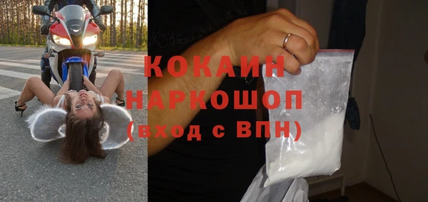 хмурый Алексин