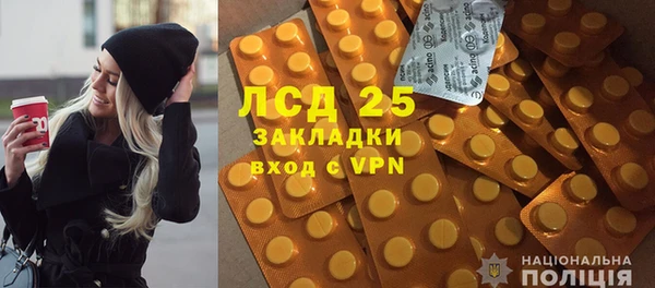 хмурый Алексин