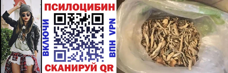 дарнет шоп blacksprut ссылки Галлюциногенные грибы мицелий Сясьстрой