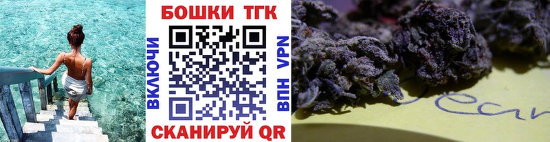 Бошки марихуана OG Kush  Сясьстрой 
